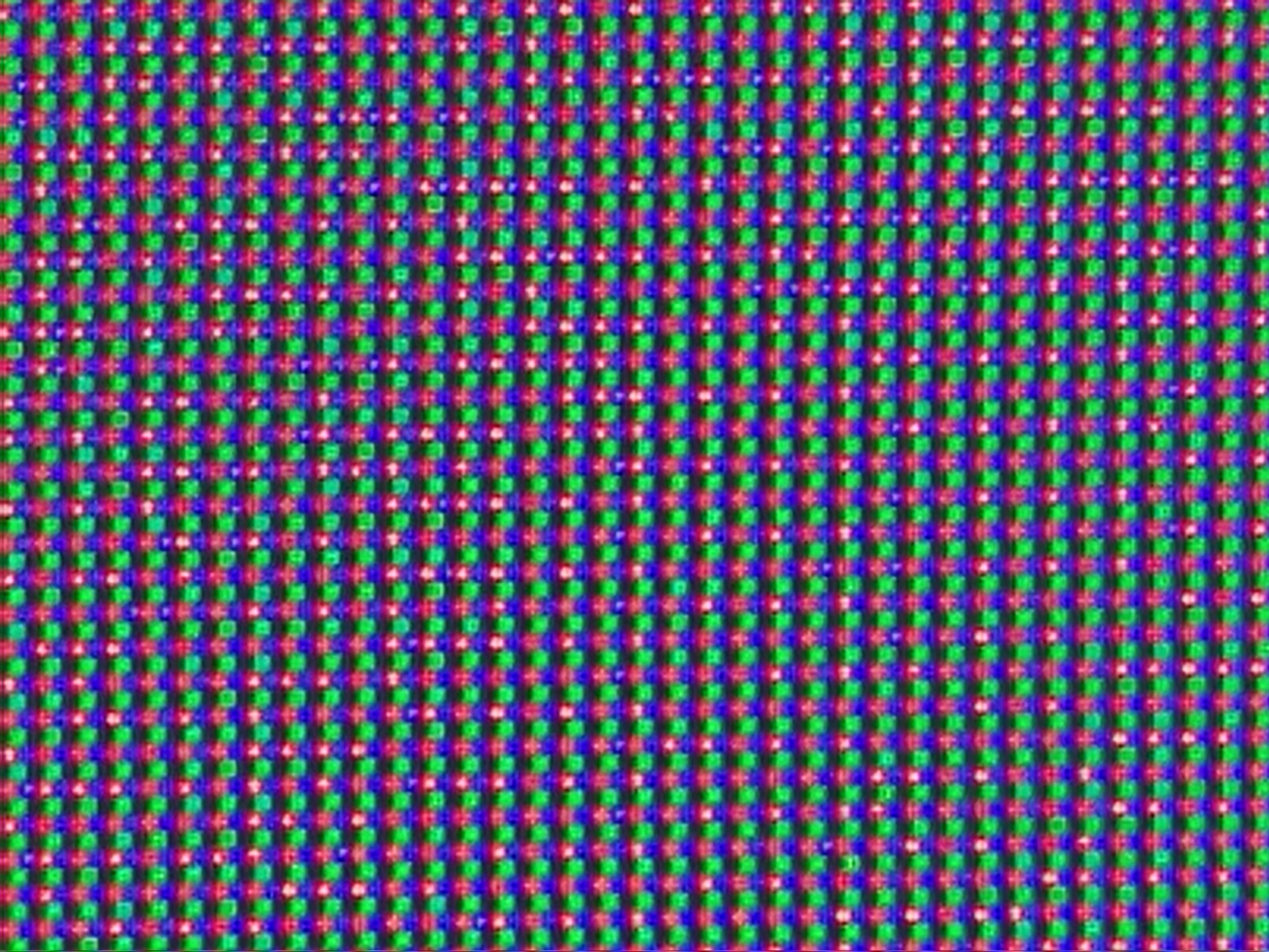 20260724_184423.jpg